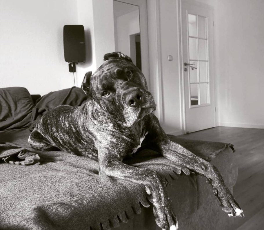 Sarah mit Spike